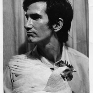 Meet your Posher, Renee